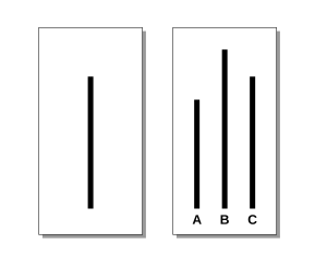 Understanding The Asch Effect Influence Social Pressure - 0glsdxg