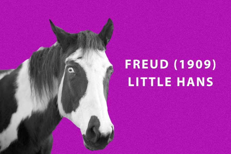 Freud 1909 Little Hans Psych Yogi Freud 1909 Little Hans Psych Yogi